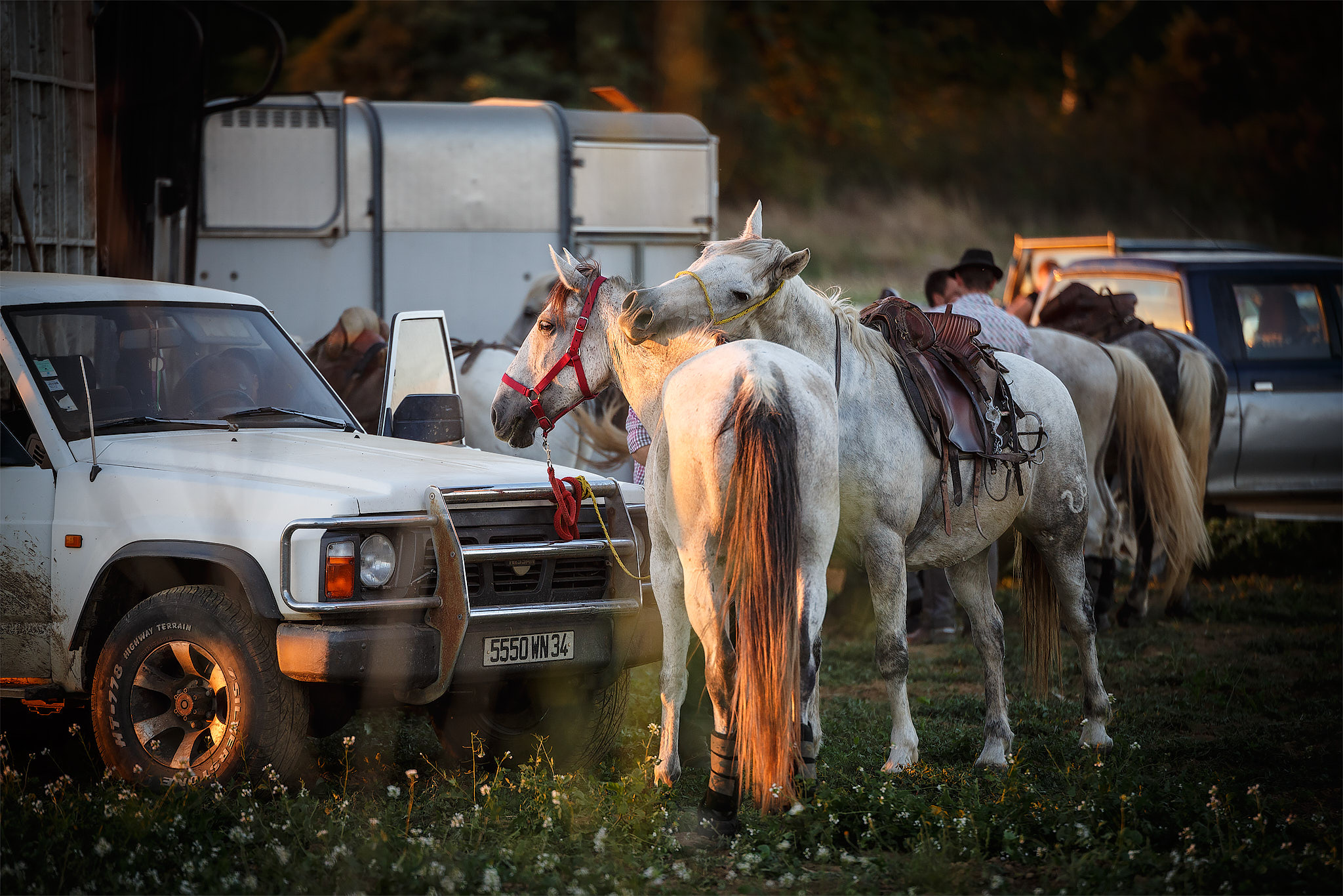 AntoineNaudet_FrenchCowboys_08