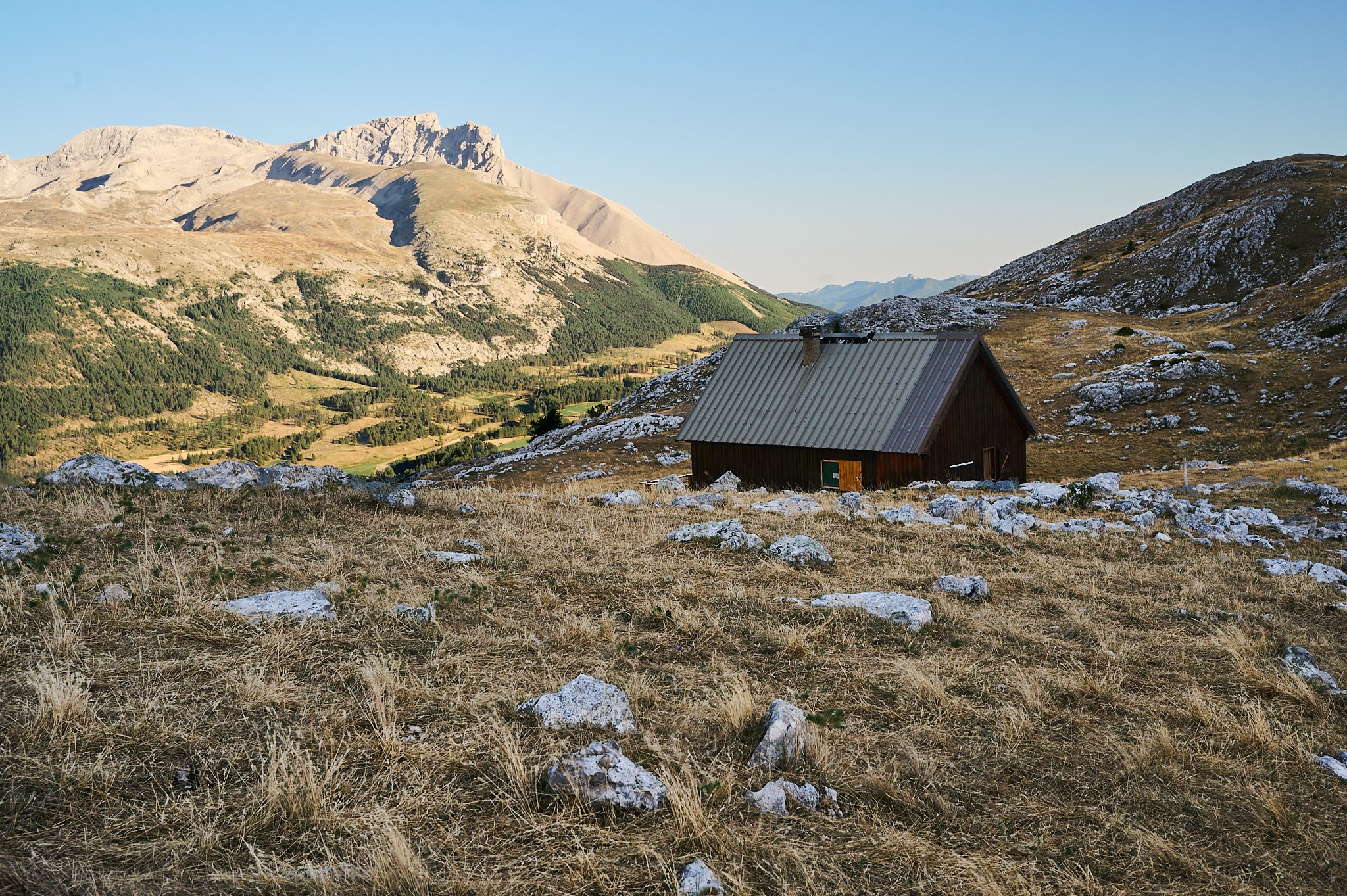 AntoineNaudet_ShepherdFamily_02