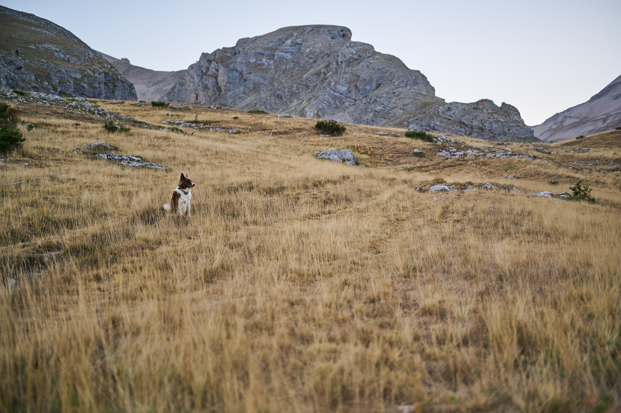 AntoineNaudet_ShepherdFamily_16