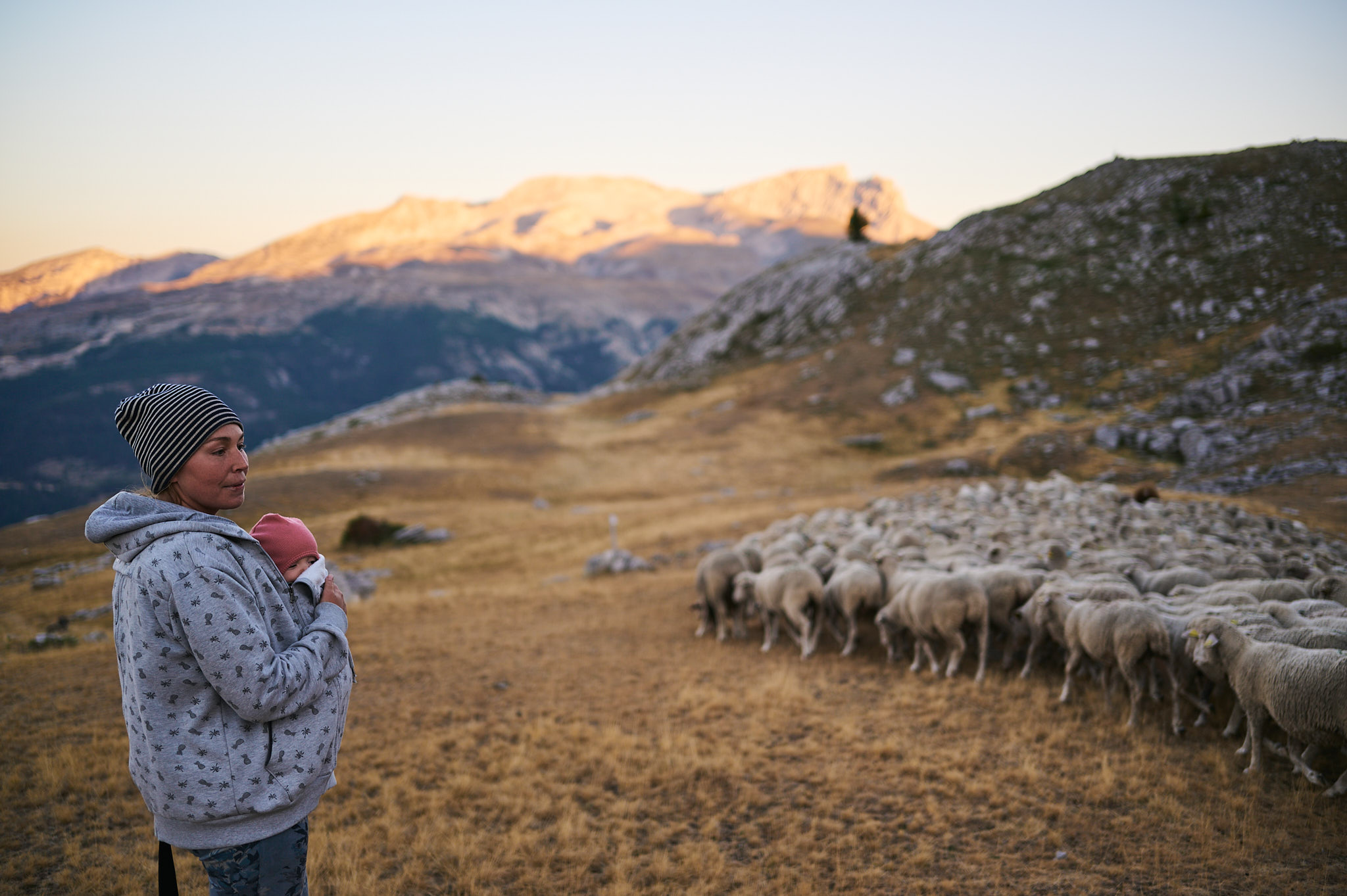 AntoineNaudet_ShepherdFamily_18