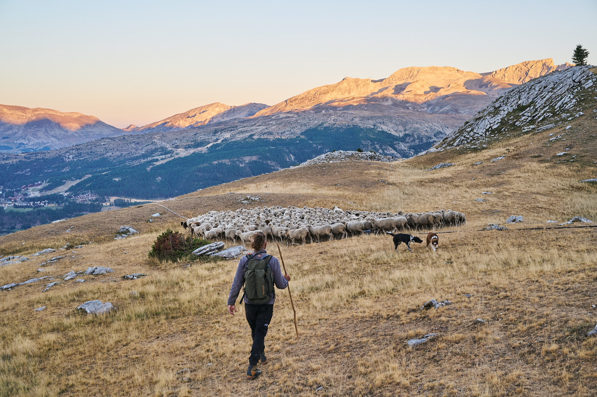 AntoineNaudet_ShepherdFamily_20