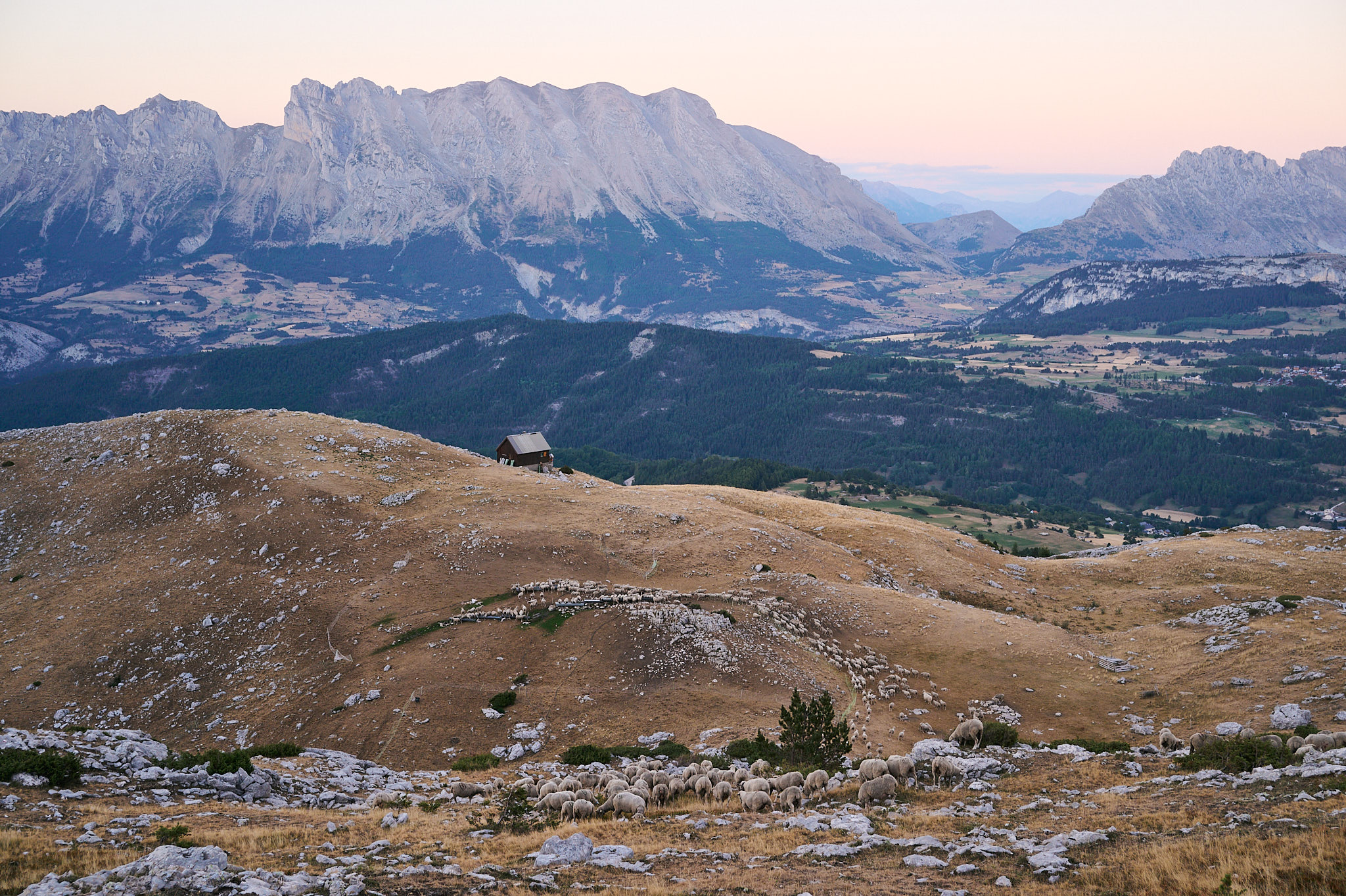 AntoineNaudet_ShepherdFamily_23