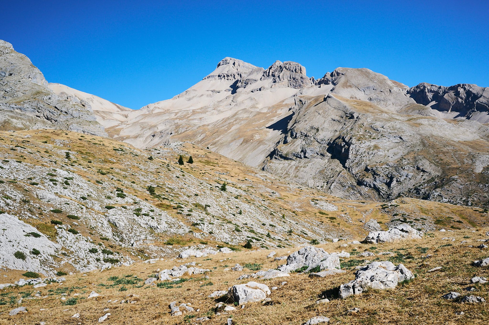 AntoineNaudet_ShepherdFamily_25