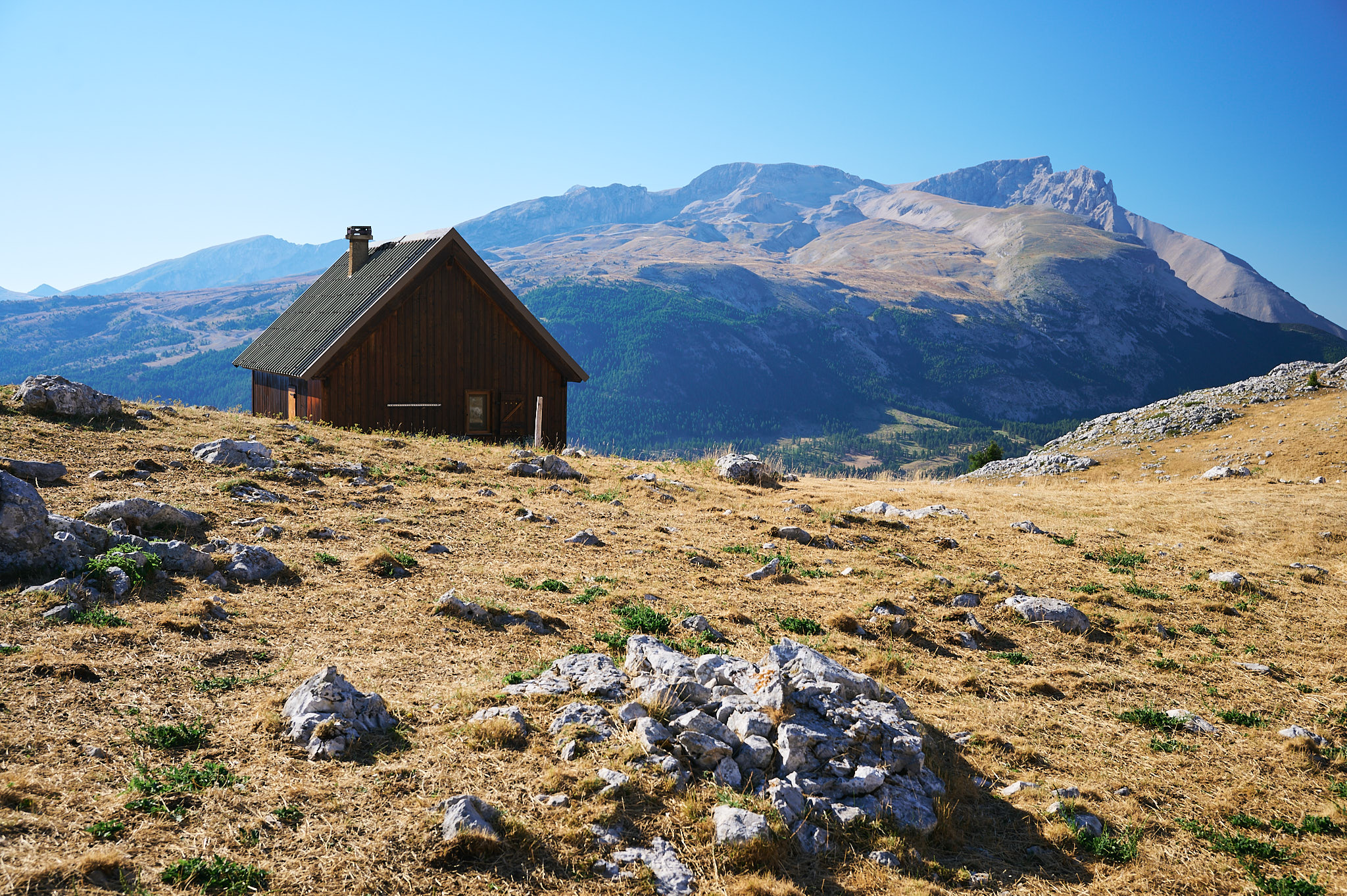 AntoineNaudet_ShepherdFamily_26