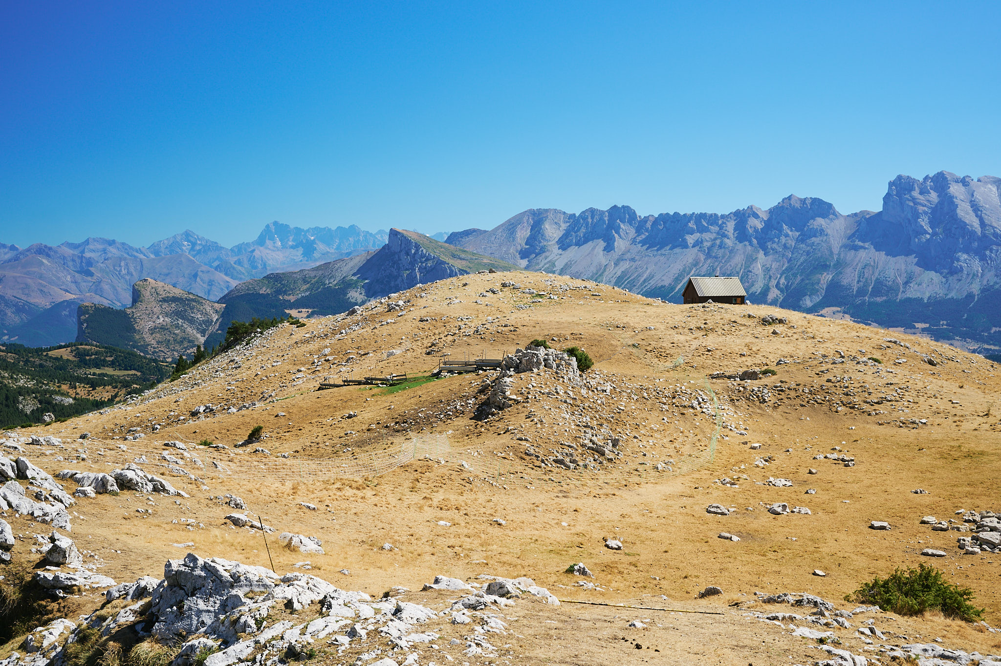 AntoineNaudet_ShepherdFamily_27