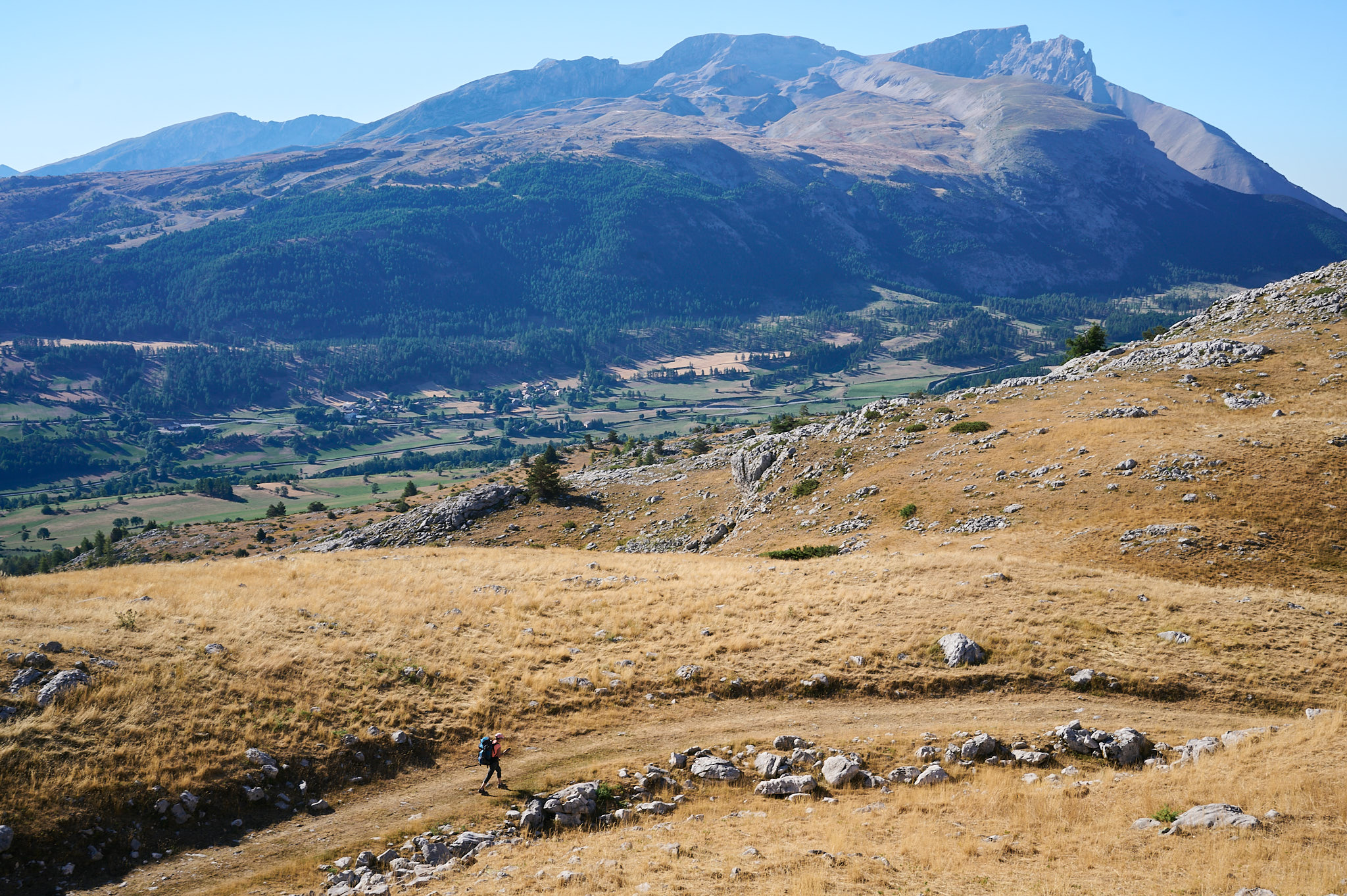 AntoineNaudet_ShepherdFamily_31