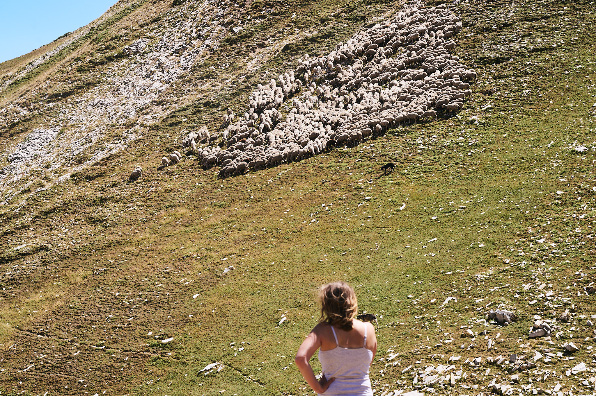 AntoineNaudet_ShepherdFamily_36