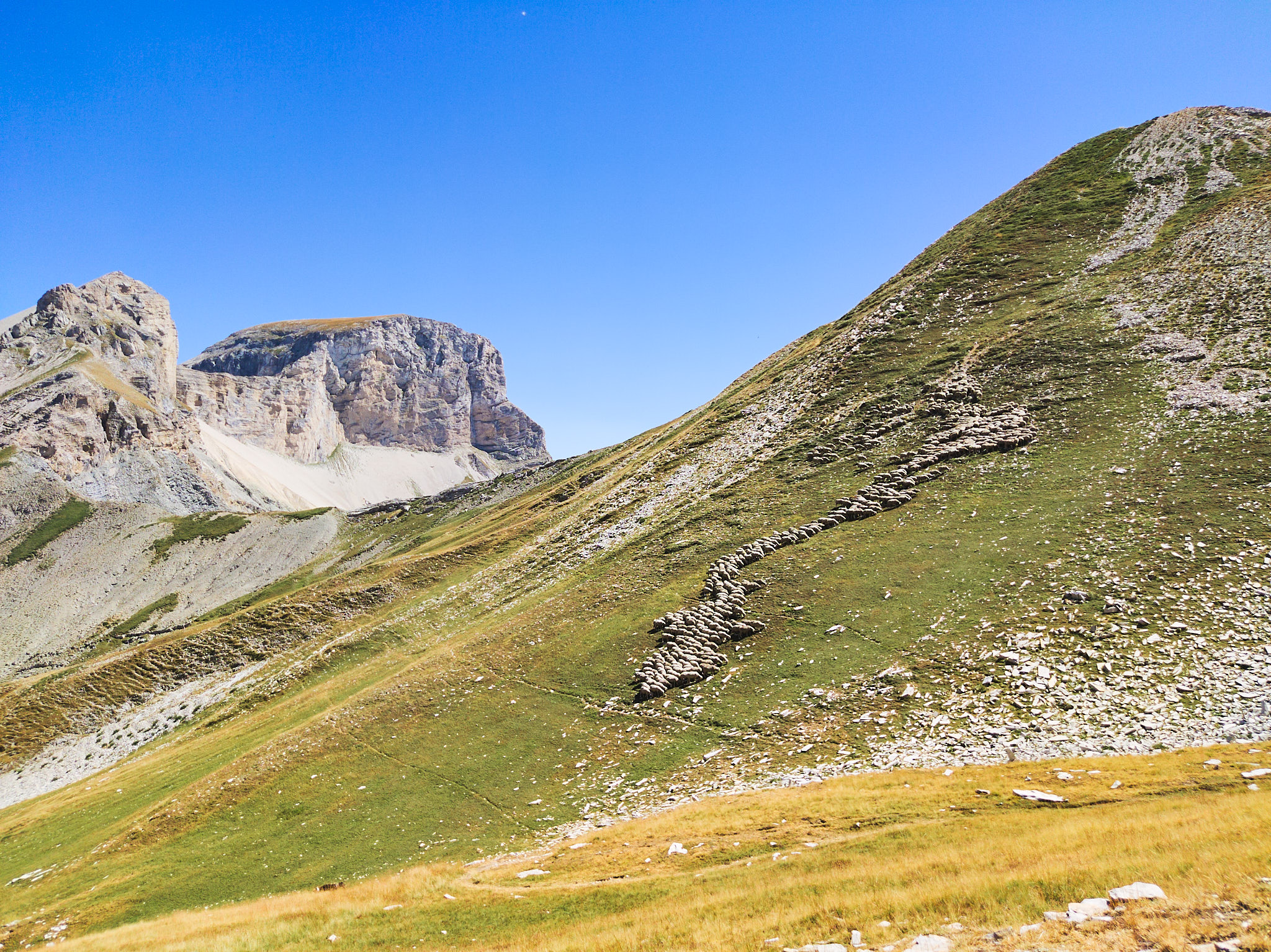 AntoineNaudet_ShepherdFamily_40