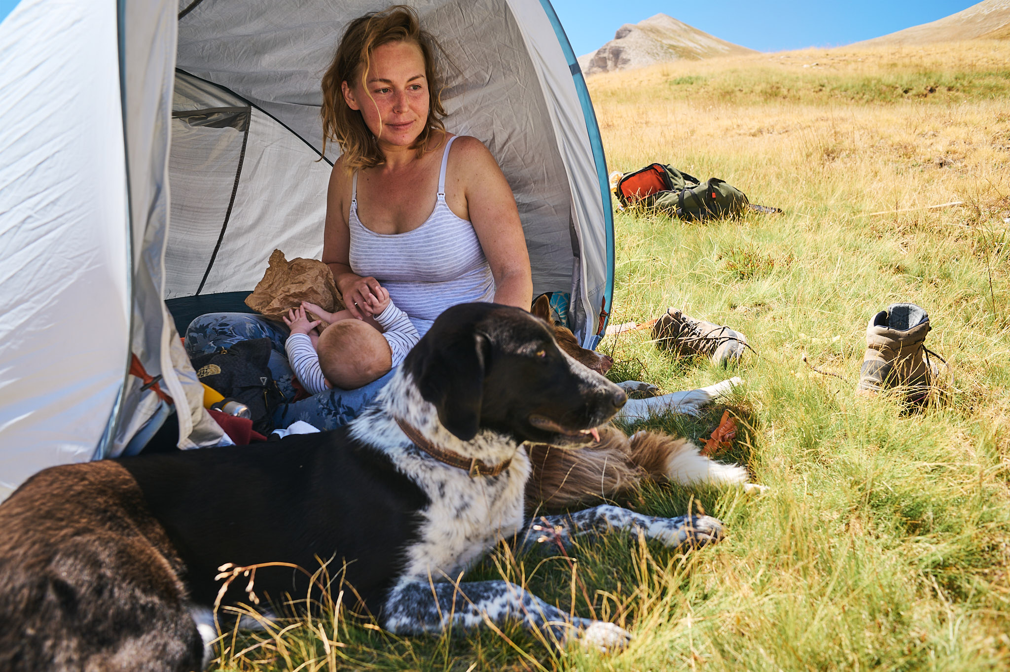 AntoineNaudet_ShepherdFamily_41