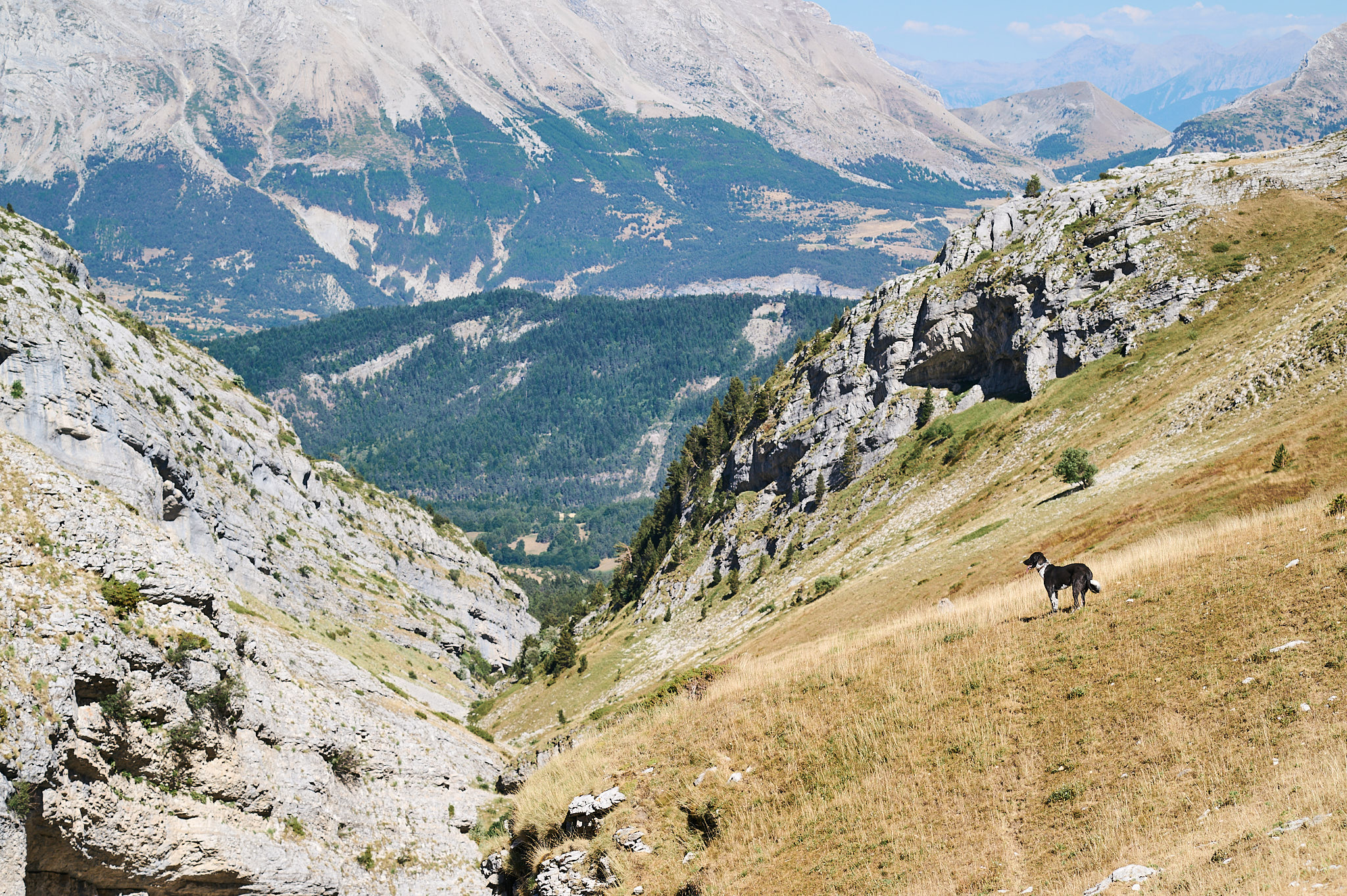 AntoineNaudet_ShepherdFamily_58