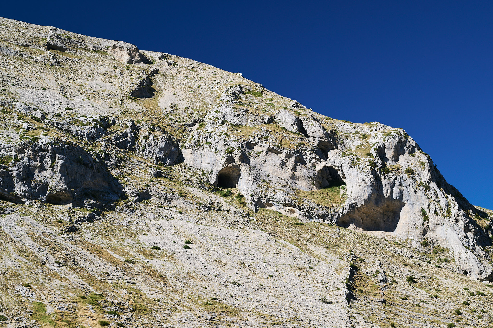 AntoineNaudet_ShepherdFamily_59