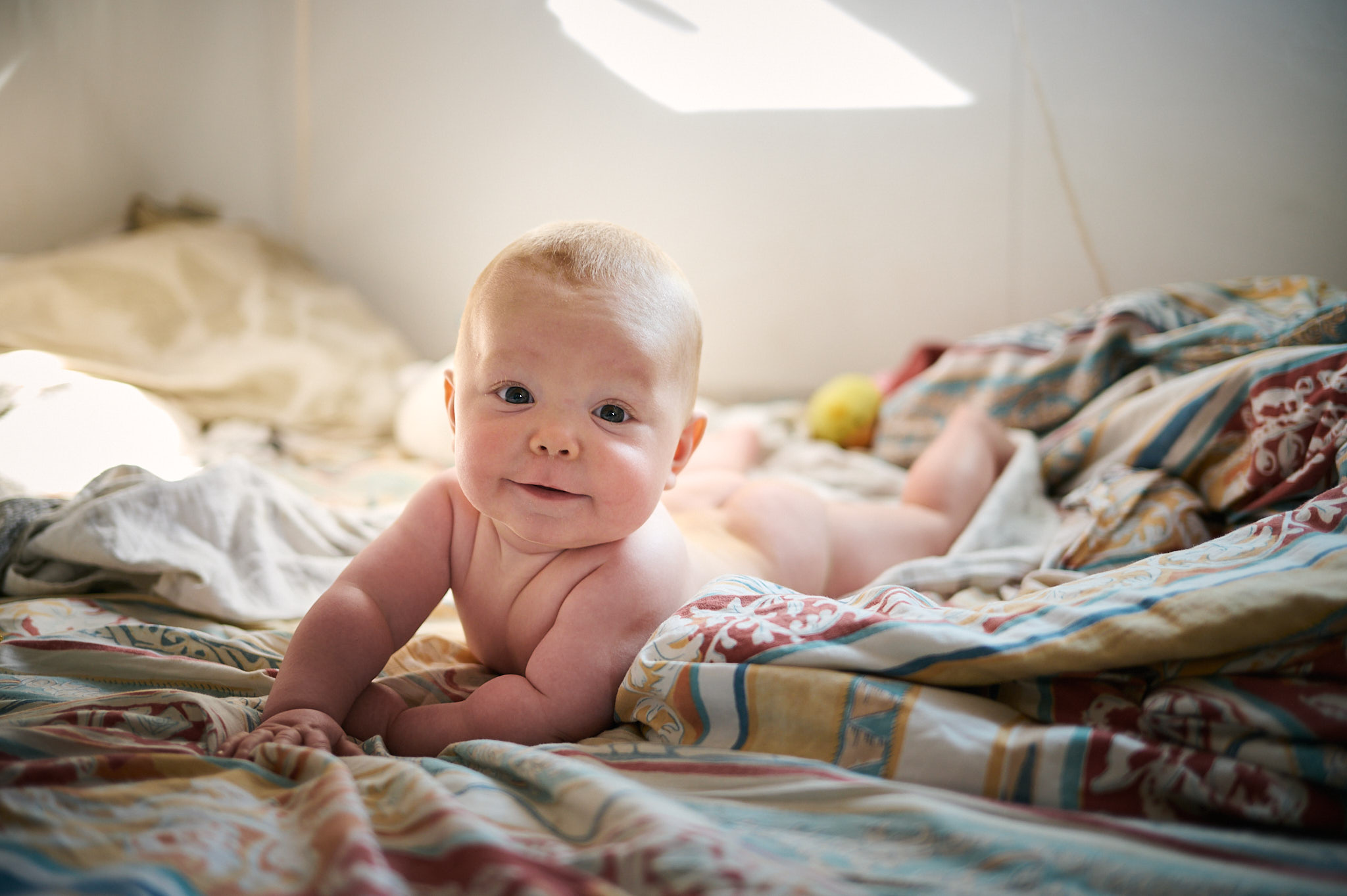 AntoineNaudet_ShepherdFamily_64